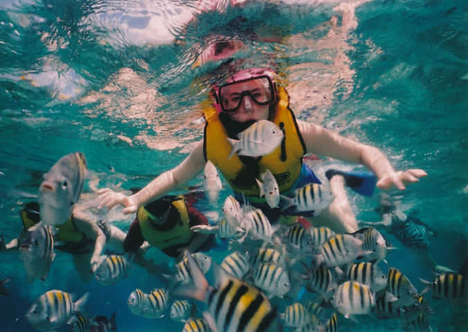 Snorkeling Vip Sea Transfer 